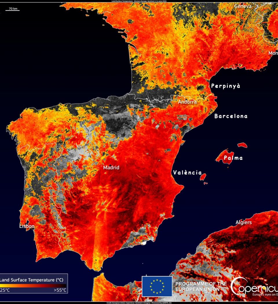 Sense arbres no hi ha ciutats del futur